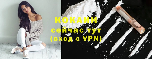 прущие крисы Новозыбков