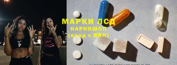 прущие крисы Новозыбков