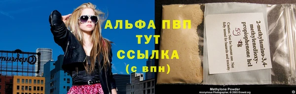 прущие крисы Новозыбков