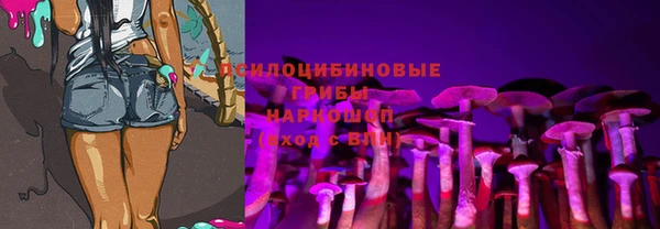 прущие крисы Новокубанск