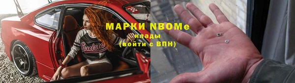 прущие крисы Новозыбков