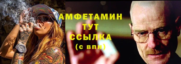 прущие крисы Новозыбков