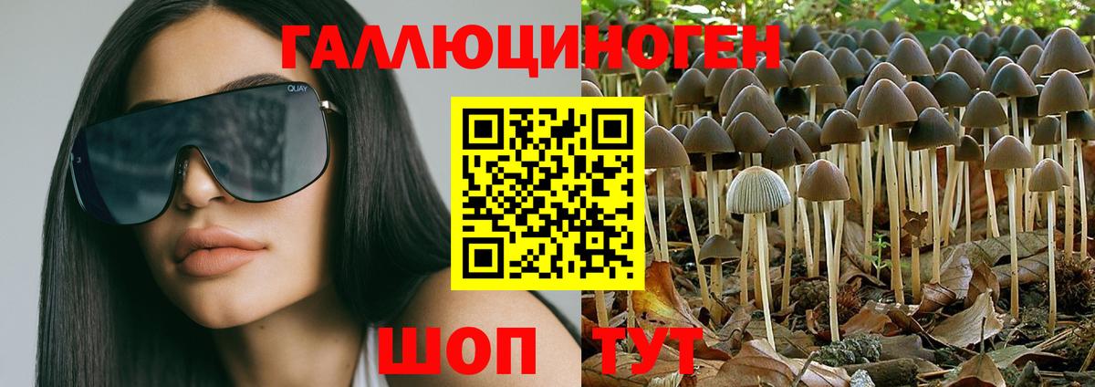 Псилоцибиновые грибы прущие грибы  Вход с VPN  Псилоцибиновые грибы Psilocybe  магазин    Миасс 