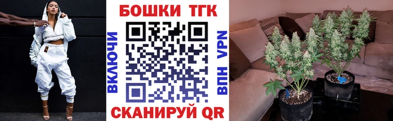Марихуана семена  Миасс 